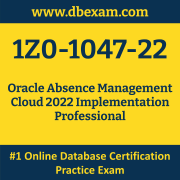 Oracle 1Z0-1047-22 Certification Online Practice Exam and Sample 