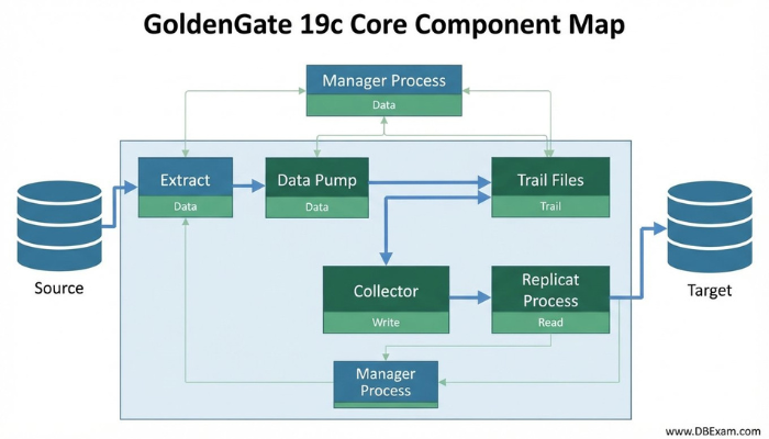 Infographic illustrating the core components of Oracle GoldenGate 19c (Extract, Data Pump, Trail Files, Collector, Replicat, Manager) and their data flow in a layered block diagram.